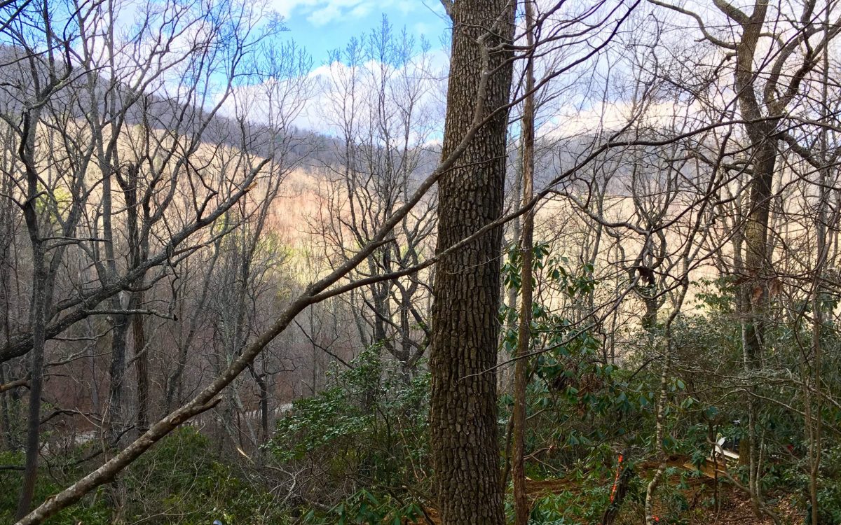Excavating for Blue Ridge Senior 55+ Cabin Rentals Annual Furnished